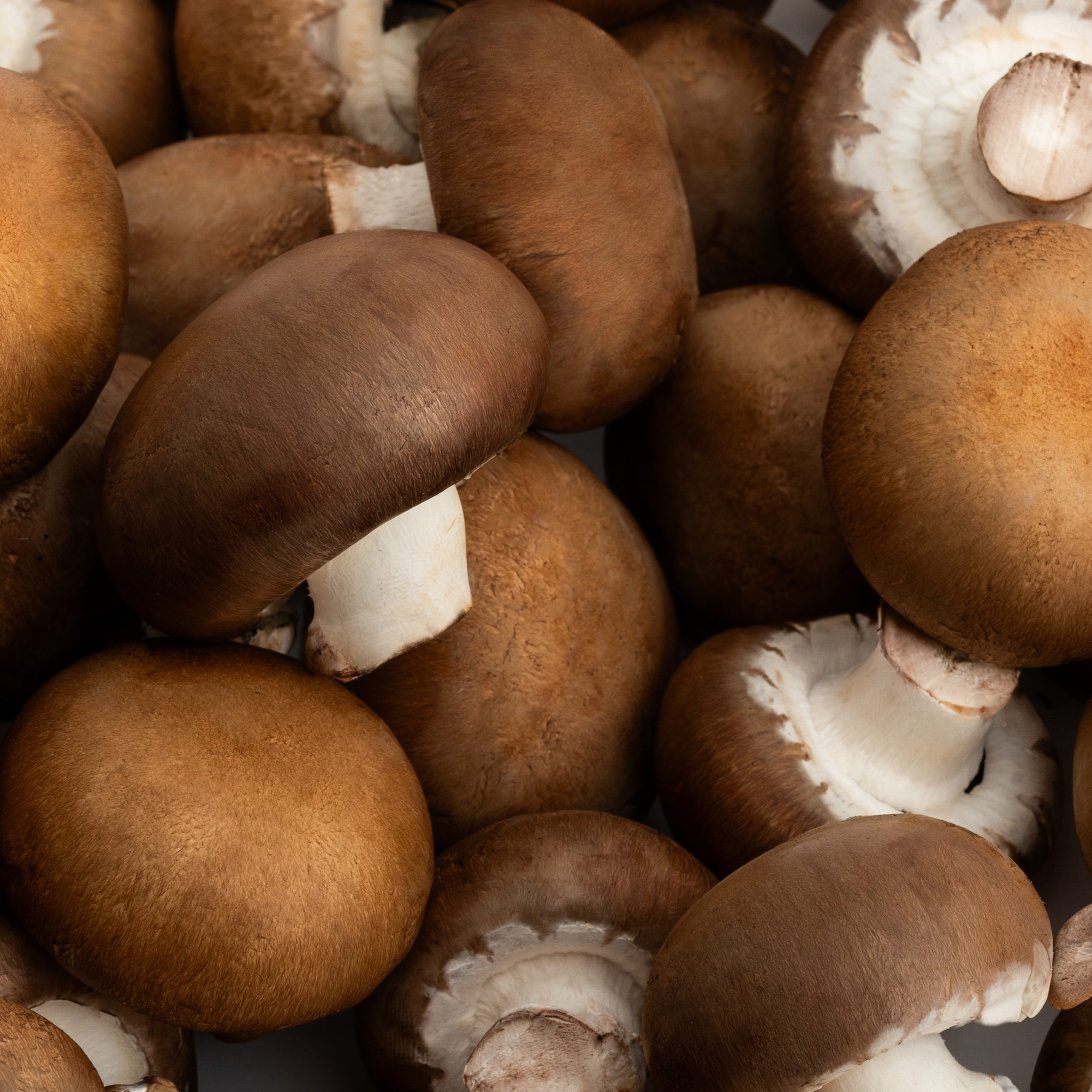 MUSHROOM PACKSHOT DEF V3-13