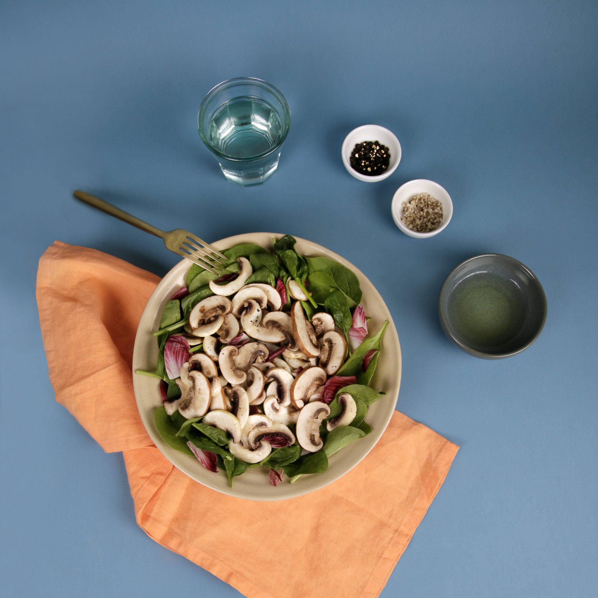 16- ESPAGNE – Salade de champignons