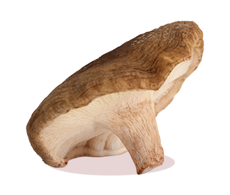 ch-Shiitakes