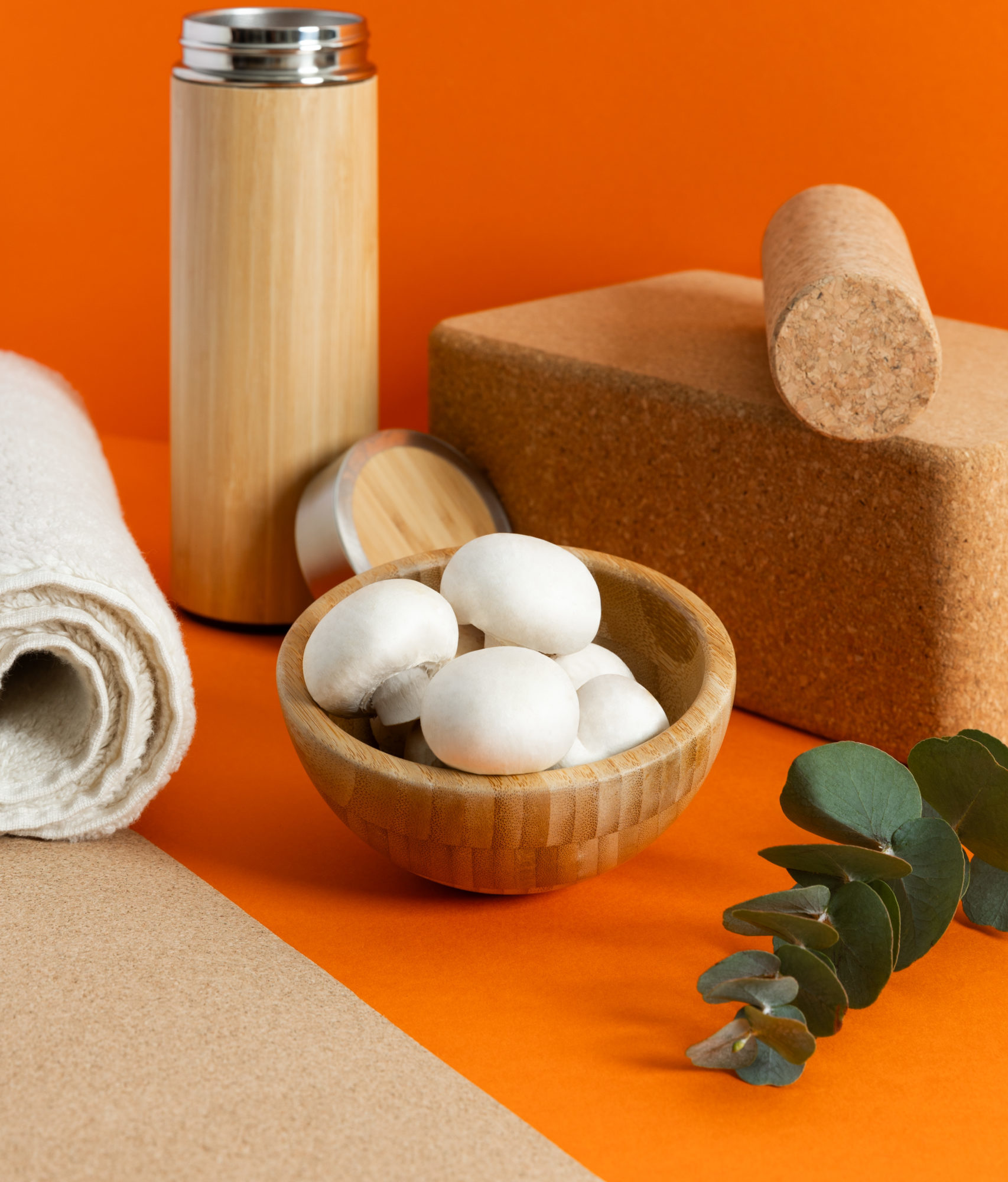 MUSHROOM NATURES MORTES DEF 072023-1 (1)